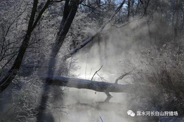 嘉日单词
