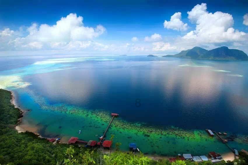 吃素就能瘦吗？游戏画面