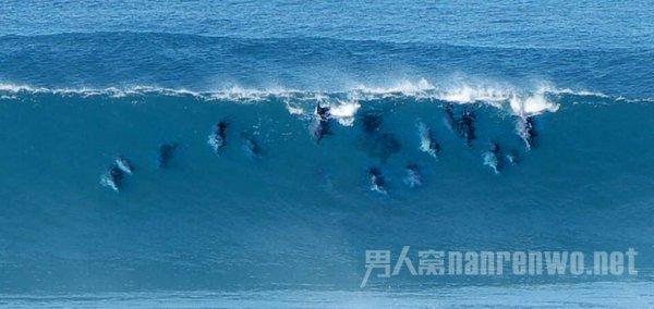俄罗斯人民友谊大学--外国留学生公开奥林匹克竞赛