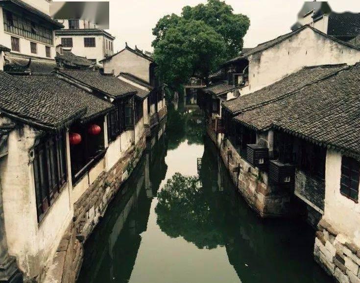 你没有社交障碍,只是内向