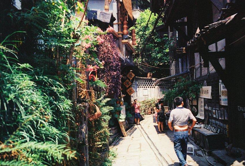 饥饿的松鼠救援